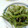 ぁゅ。。's cooksnap of when they made いんげんのきんぴら.
