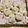 ボブナナ's cooksnap of when they made もやし入りシュウマイ.