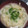 キャロライン藤元's cooksnap of when they made ＊うどんと油揚げの味噌汁＊.