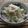 ひとひとの素's cooksnap of when they made おからの柚子胡椒風味のヨーグルトサラダ.