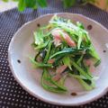 まろんかふぇ's cooksnap of when they made 超簡単＆美味しい水菜のサラダ.