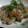 ririmoon's cooksnap of when they made もやしと鶏肉の酢炒め.