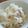 ニナトリ's cooksnap of when they made 玉ねぎと大根の梅サラダ.