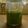 JA2136's cooksnap of when they made ジェノベーゼソース（ジェノバ風ペースト）.