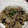 セルジュク's cooksnap of when they made なすと玉ねぎの甘みそ炒め.