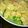 つぅたろ's cooksnap of when they made ブロッコリーのかに玉風あんかけ.