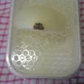 ちっち５５３５'s cooksnap of when they made 玉ねぎが綺麗に摩り下ろせる方法☆.