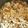 komim's cooksnap of when they made 父の日お店の味を再現♪パパが喜ぶ簡単豚丼.