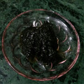 Maria♡'s cooksnap of when they made 簡単にできる海苔の佃煮.