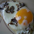 リらっくま's cooksnap of when they made 目玉焼きは何味！？塩コンブはどうでしょう.