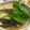 パパイヤンパツコ's cooksnap of when they made 夏野菜の素揚げひたし.