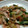 ゆきんこ_1112's cooksnap of when they made きゅうりとハムの炒め物.
