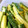 ぷいぷいルンルン's cooksnap of when they made 簡単☆やみつき！中華きゅうり.