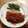 Leopard嬢's cooksnap of when they made 万能！トマトソース♪.