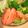 KEELEY's cooksnap of when they made 色どり野菜たっぷりサラダ.