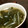 sachichoco's cooksnap of when they made 豚とわかめともやしのスープ.