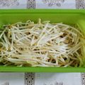 れいちょんぐ's cooksnap of when they made ストック用・電子レンジで蒸しもやし。.