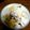 ﾅｶﾞﾚﾎﾞｼ's cooksnap of when they made 簡単☆サツマイモご飯.