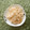 UMAe's cooksnap of when they made 新玉ねぎのマヨ炒め。塩辛で。.