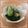 An_kitchen's cooksnap of when they made 箸休めきゅうり.