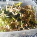 りるみな's cooksnap of when they made ピリ辛♪えのきとわかめと貝割れのおつまみ.