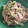 ゆりまる2011's cooksnap of when they made 簡単 クリーミー和風焼うどんランチ.