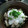 ゆうなりんりん's cooksnap of when they made ■とりしめじ■.