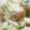 熊人すみこ's cooksnap of when they made ☆しめじときゅうりで胡麻サラダ☆.