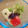 カバゴン's cooksnap of when they made ロマネスコの洋風漬物.