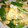 yudamasann's cooksnap of when they made ＊簡単＊ネギと卵のサッと炒め＊.