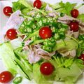 yukiphoo's cooksnap of when they made 絶品！夏バテ解消冷しゃぶサラダ.