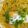 コロコロ1210's cooksnap of when they made 簡単！納豆スパ☆.