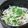 青の4番's cooksnap of when they made もやしのナムル.