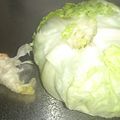 アスカチャチャ's cooksnap of when they made 2度すっきり！レタスの芯の取り方.
