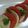 ✿Rieko✿'s cooksnap of when they made ワインによく合う＊簡単カプレーゼ.