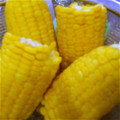 amandes's cooksnap of when they made とうもろこしの茹で方.