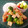 momokombu's cooksnap of when they made 海老と木綿豆腐の炒め物.
