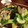 マユヒメ's cooksnap of when they made 塩麹豚ときゅうりの炒め物.