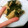 季節外れ's cooksnap of when they made ほうれん草の卵とじ.