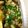 ☆ぴよぴよママ☆'s cooksnap of when they made お弁当に簡単♪カレーの具で一品！.