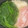 にゃつめ〜's cooksnap of when they made ほうれんそう鍋 ⌘ 常夜鍋.