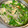 yu228's cooksnap of when they made ニラとモヤシと卵のスープ.