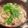 クック☆やーっ！'s cooksnap of when they made 簡単　和食に　きのこと三つ葉の　お吸い物.