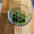 ほぼきどちゃん's cooksnap of when they made 三つ葉のおひたし.