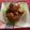 みきちゃん1884's cooksnap of when they made 素朴な鬼まんじゅう.