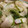 ﾌﾞﾚﾝﾀﾞ's cooksnap of when they made 簡単瓜すぐ食べられる・うりのお漬物.