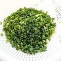 ฅ静流ฅ's cooksnap of when they made くっ付かずパラパラ♫万能ネギの冷凍法♫.