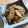 Lilysuke's cooksnap of when they made 秋のごぼうの胡麻和え.