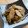 Lilysuke's cooksnap of when they made 秋のごぼうの胡麻和え.