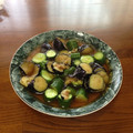 メイメイ2628's cooksnap of when they made なすと胡瓜の揚げびたし.